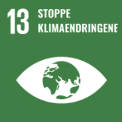 Ikon bærekraftsmål 13, stoppe klimaendringene